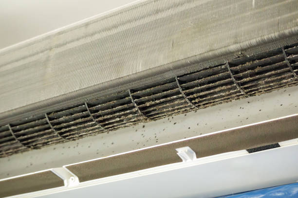 Best HVAC Duct Inspection Services  in Wrightwood, CA