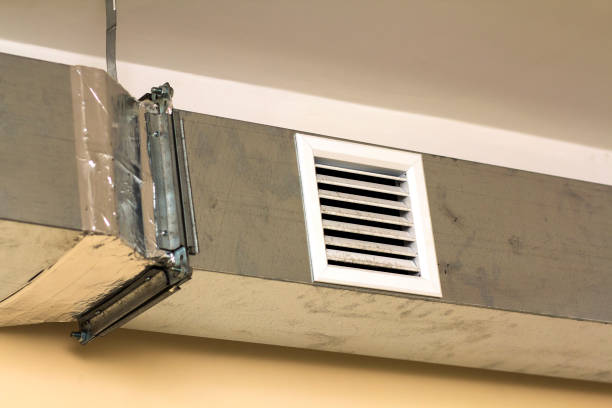 Air Duct Mold Removal in Wrightwood, CA