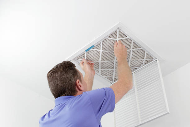 Best Local Air Duct Cleaning Services  in Wrightwood, CA